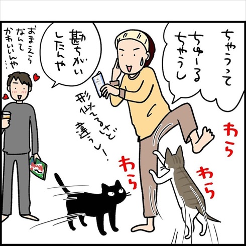 ちゅ〜るだと思う猫たち