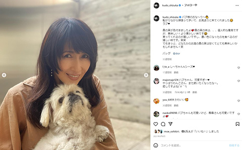 工藤静香が死を悼んだ愛犬バブル