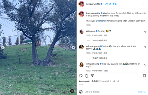 トラヴィスが撮影したコヨーテ