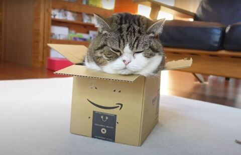 まるくん 箱 入れず スネる