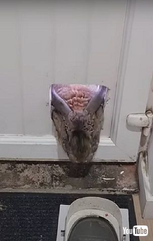 ウサギとペットドア