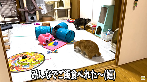 みんなでごはん