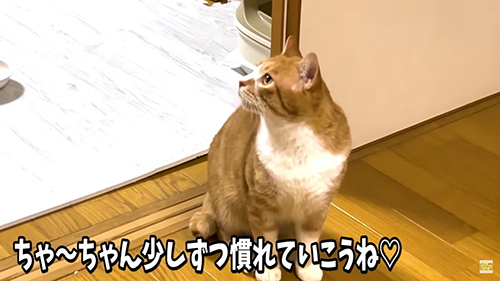 なれていこうね