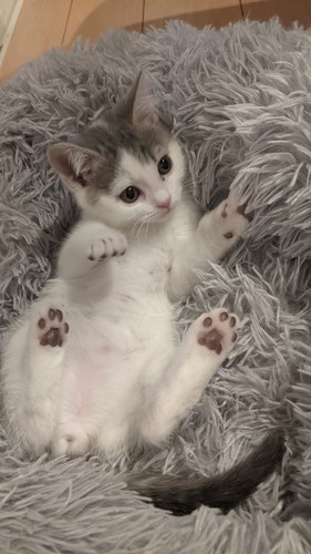 おすすめ