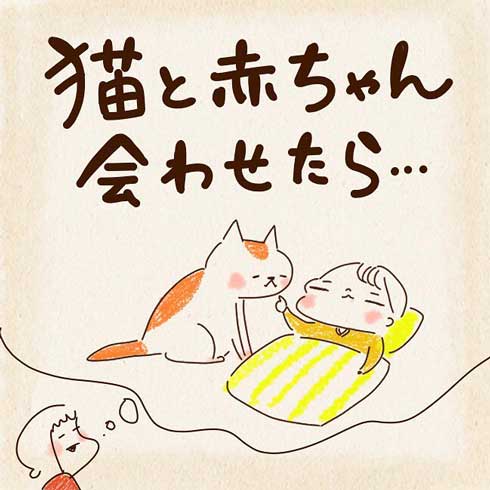 初対面の猫と赤ちゃん