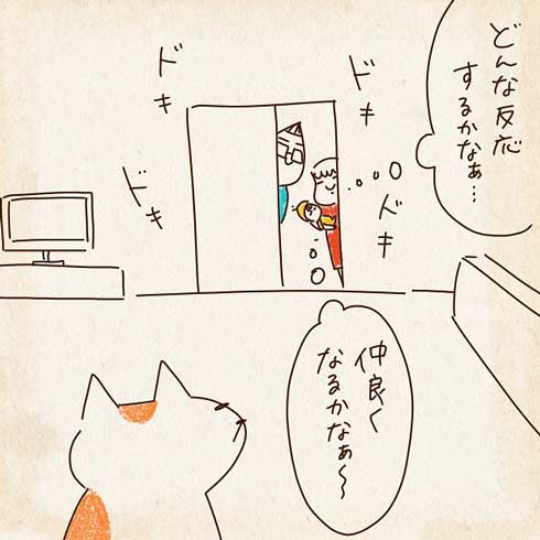 猫の反応を楽しみにする夫妻