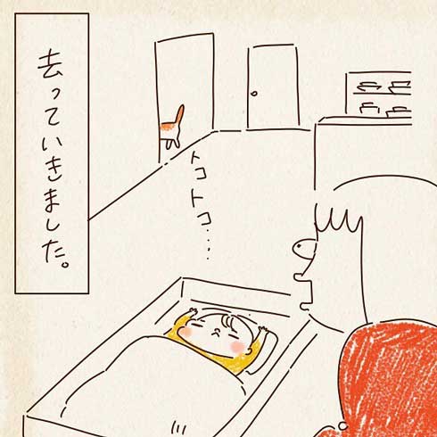 隣の部屋に行く猫