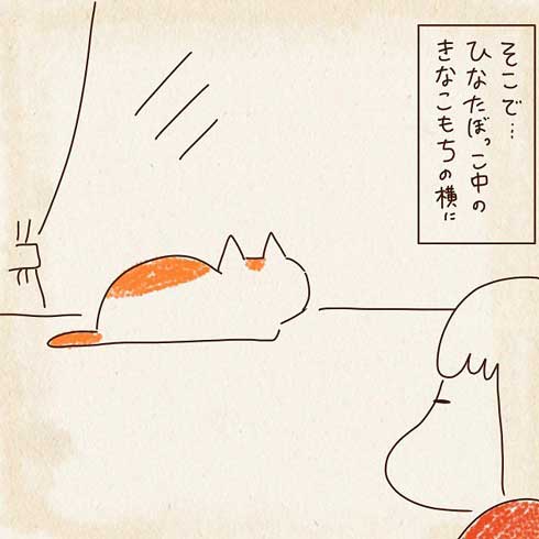 日向ぼっこ中の猫