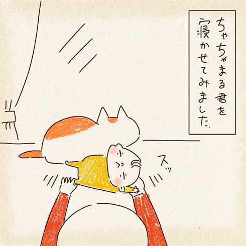 猫の横に赤ちゃん