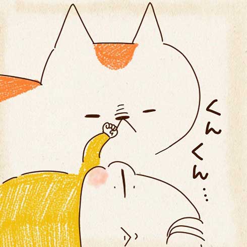 赤ちゃんの匂いをかぐ猫