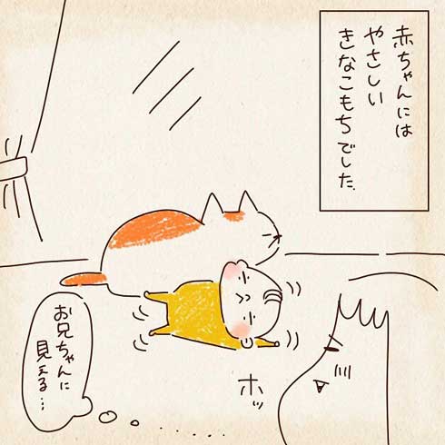 赤ちゃんに対して優しい猫