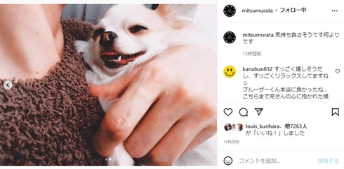 村田充 神田沙也加 犬 ペット ブルーザー