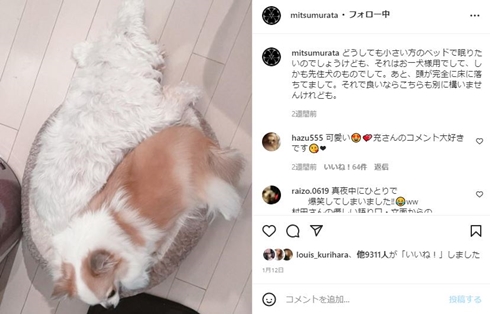 村田充 神田沙也加 犬 ペット ブルーザー