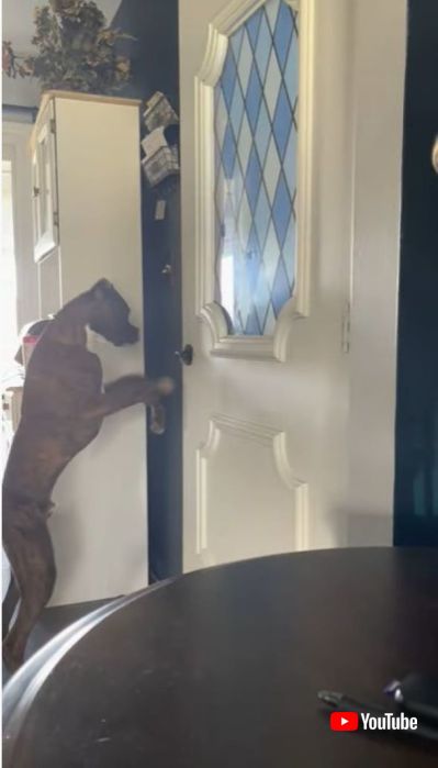 何度もチャレンジ