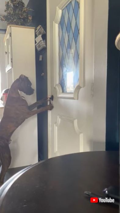 できちゃったかも！