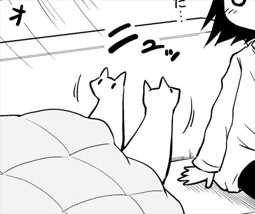 起動した猫