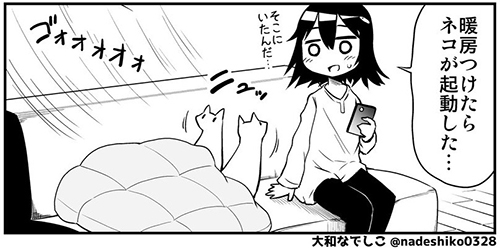 猫が起動