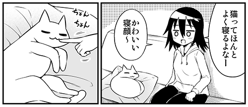 眠る猫
