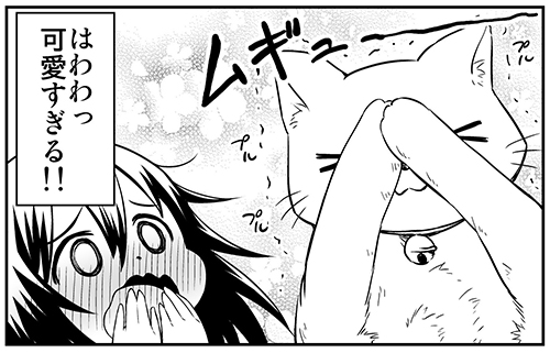 顔を隠す猫