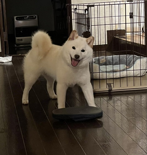 笑顔の小百合ちゃん