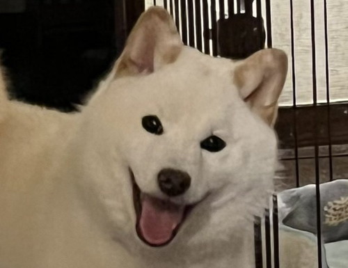 笑顔の小百合ちゃん