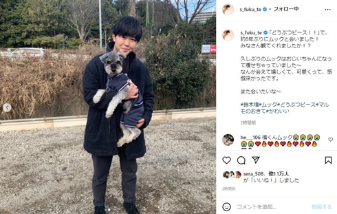 鈴木福 マルモのおきて 犬 ムック どうぶつピース