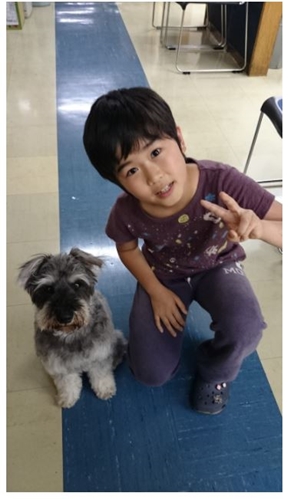 鈴木福 マルモのおきて 犬 ムック どうぶつピース