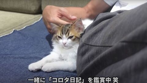 動画見るコロタくん