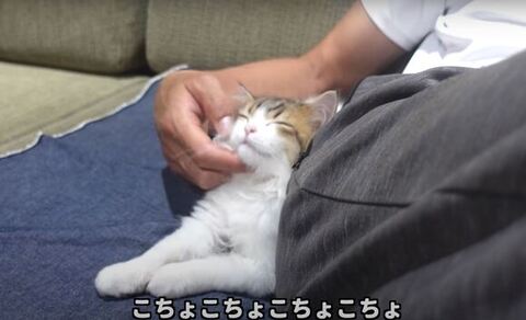 幸せそうなコロタくん