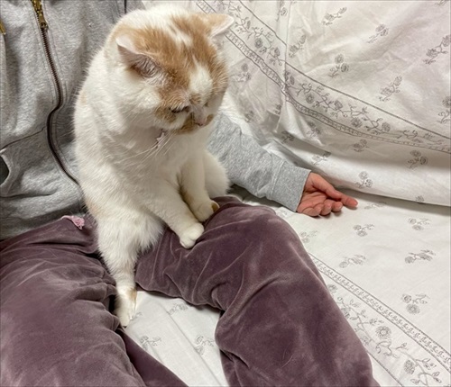 跳び箱座りのホイちゃん