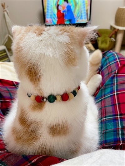 漫才の応援をするホイちゃん