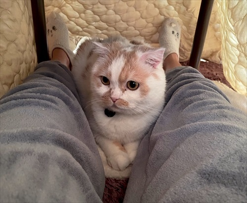 黒目がクリクリなホイちゃん