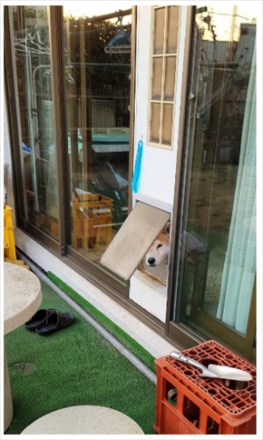 ちばてつや あしたのジョー おれは鉄兵 あした天気になあれ 手術 ステント 心臓 ブログ 退院