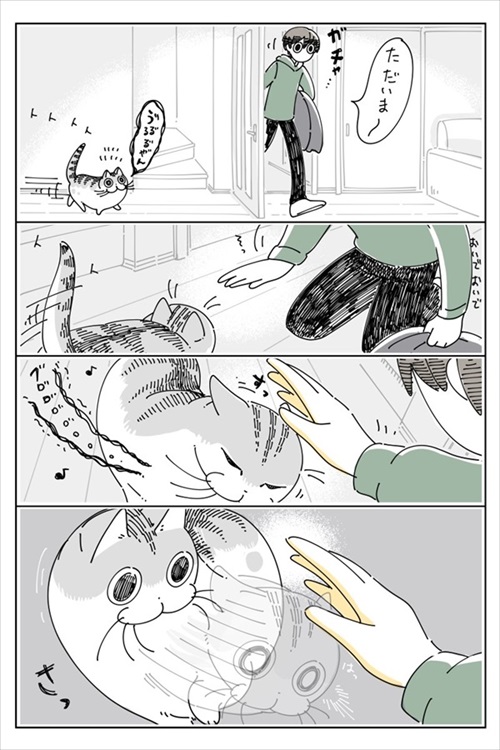 飼い主を出迎える猫