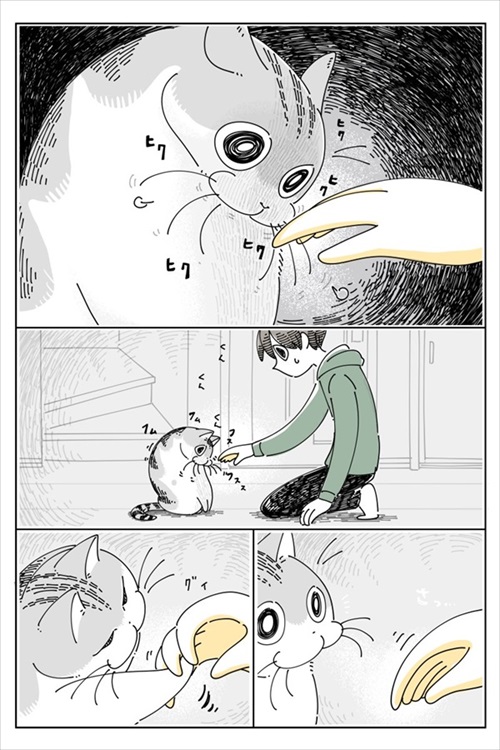 手の匂いを嗅ぐ猫