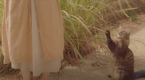 ジブリ飯ランチ