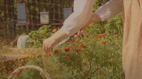 ジブリ飯ランチ