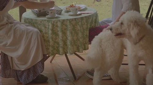 ジブリ飯ランチ