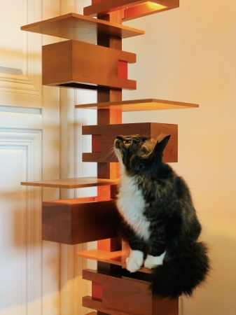 キャットタワー