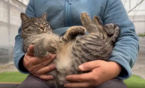 目を細めるコタローくん