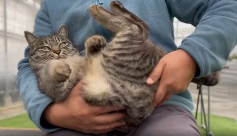 体勢を変える飼い主さん