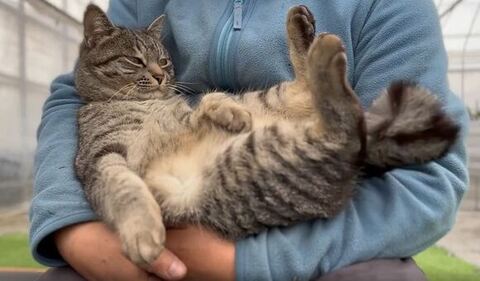 満足げに遠くを見つめるコタローくん