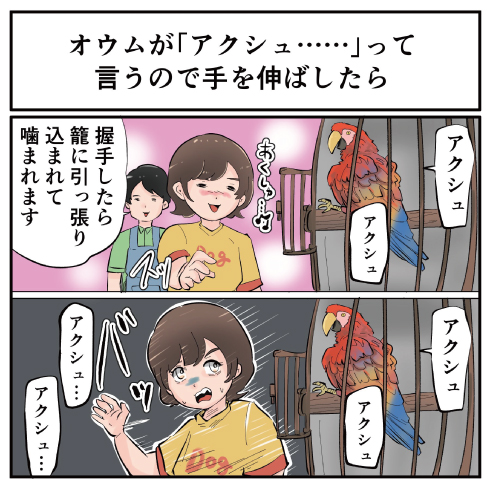 その視点はなかった