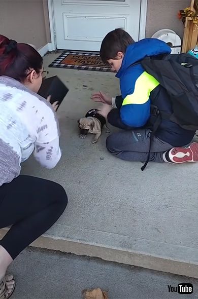 海外動画 感動 涙 男の子 boy 犬 ADHD 自閉症