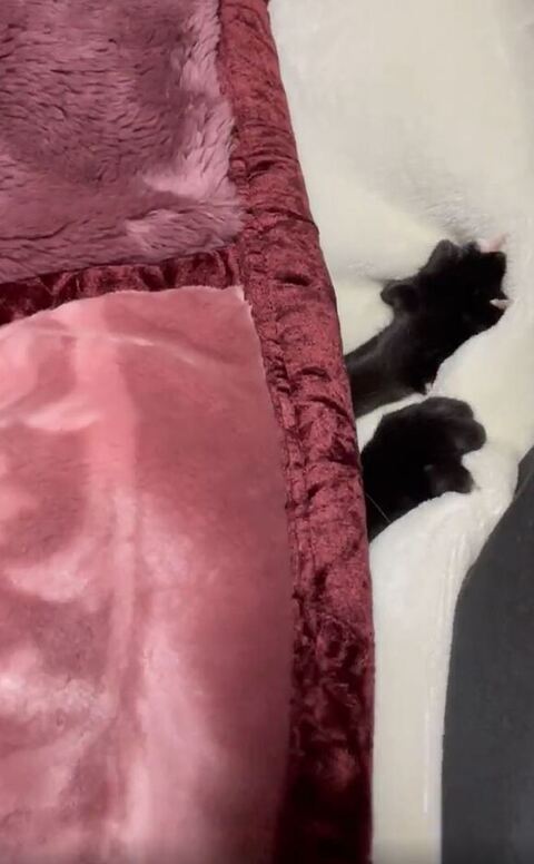 お手てのアップ