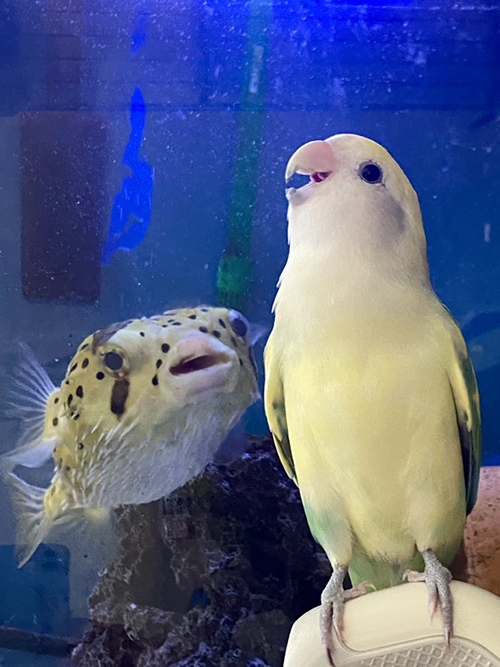 歌うスーちゃんとユーちゃん