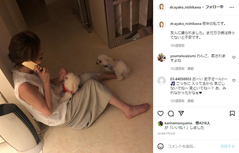 愛犬のしのぶとココ相手にたわむれる西川史子