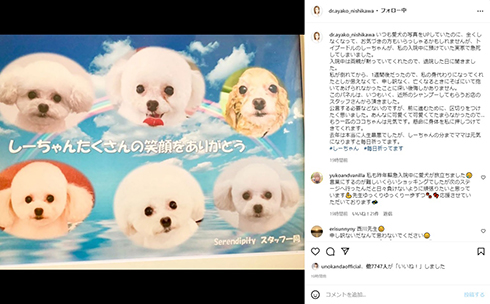 西川史子が掲載したしーちゃんの生前写真