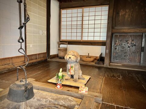 撮影でポーズを決めるれあるくん