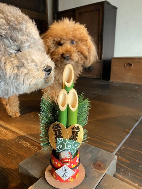 匂いをかぐれあるくん